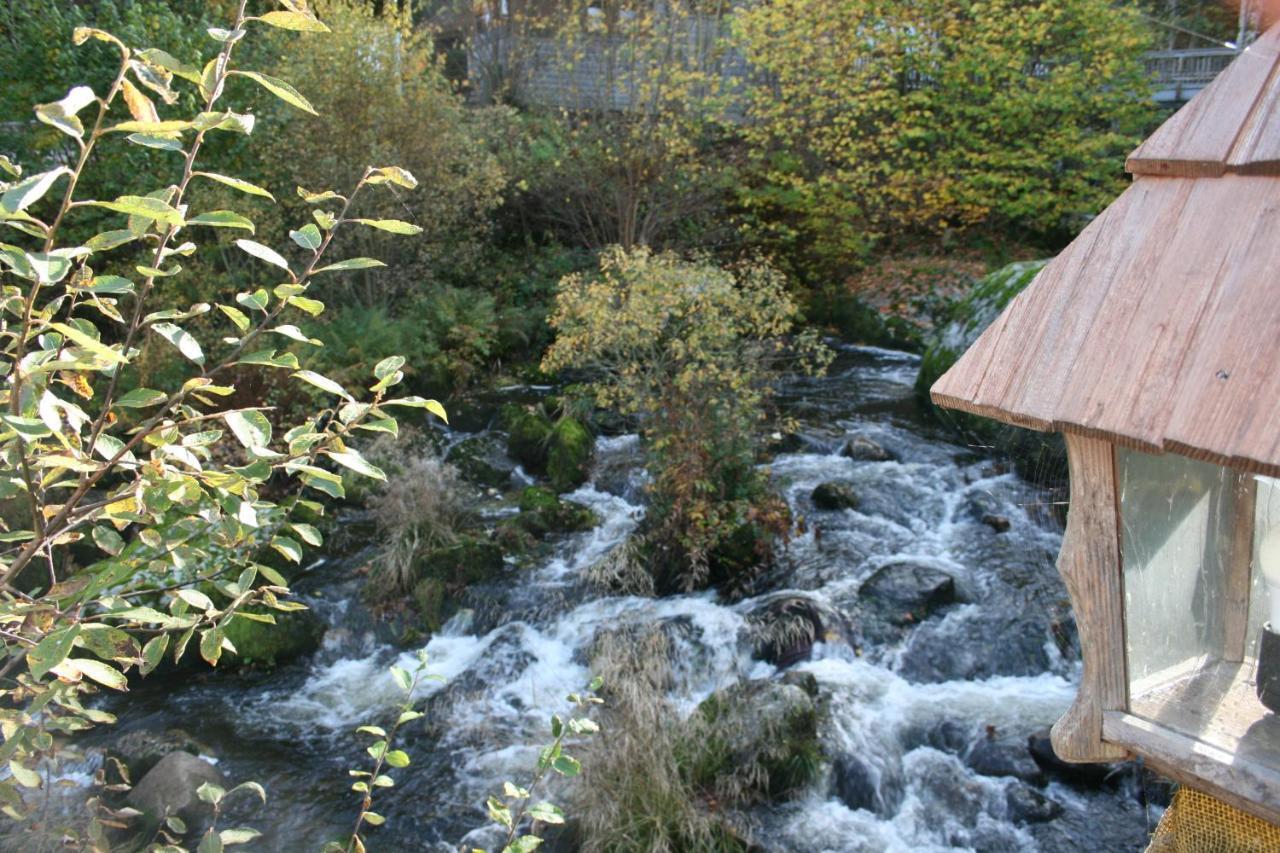 Hotel Gastehaus Zur Lilie Triberg im Schwarzwald Esterno foto